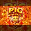 Pig Winner