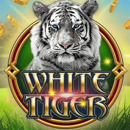 White Tiger