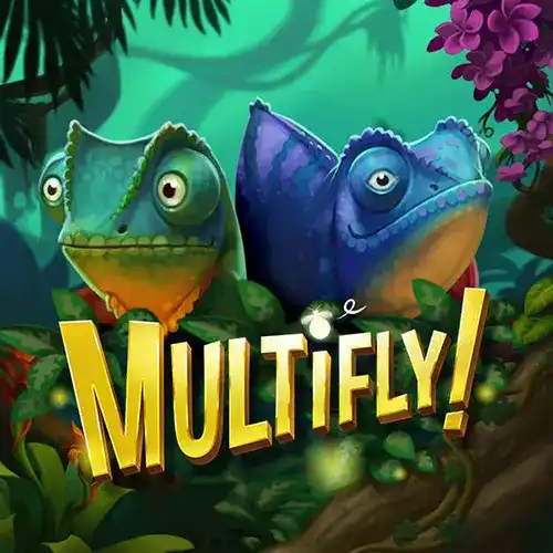 Multifly!