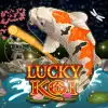 Lucky Koi