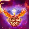 Phoenix Rises