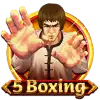 5 Boxing