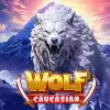 Caucasian wolf