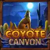 Coyote Canyon