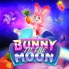 Bunny to the Moon