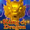 King Of Dragon