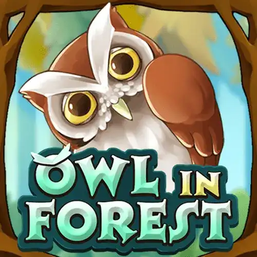 Owl In Forest