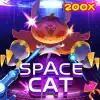 Space Cat