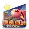 Moon Rabbit