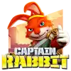 Captain Rabbit