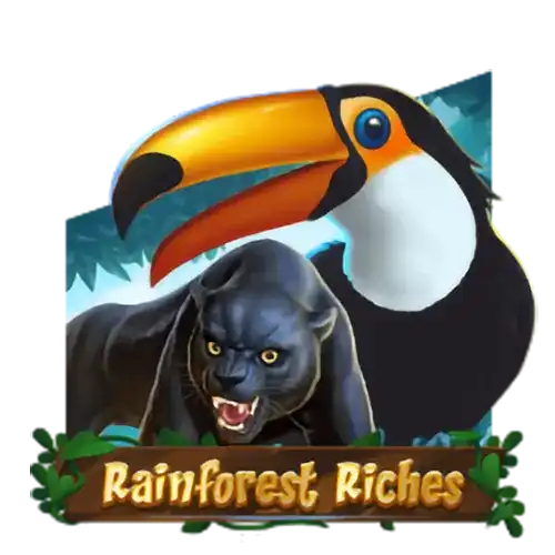 Rainforest Riches