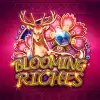 1c JuFuNaCai-Blooming Riches