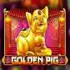 Golden Pig