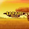 Safari Heat